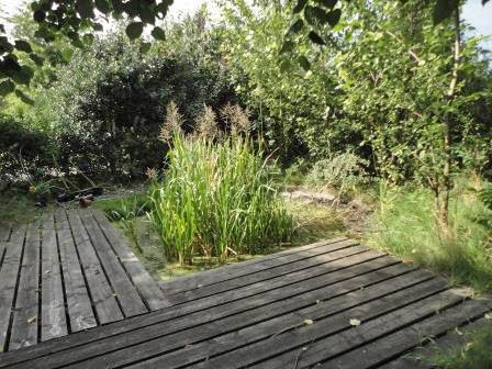 A view of a corner of a garden with wooden decking.