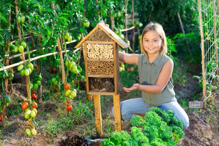 A young girl in jeans kneels by a wooden Bee Hotel in a vegetable garden.
