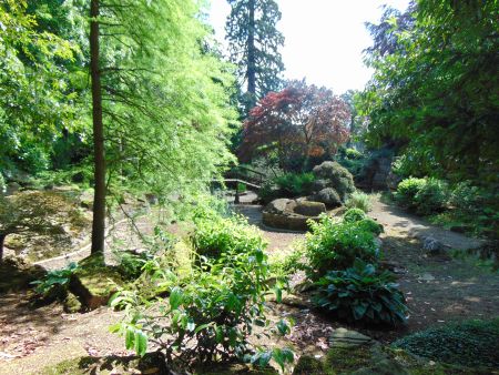 Grantley Hall japanese garden, 2017. Photo Louise Wickham