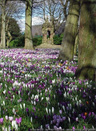 Shroggs Park. Photo © Paul Glazzard (cc-by-sa/2.0)