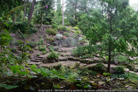 Whinfell Quarry gardens. Photo © steven ruffles (cc-by-sa/2.0)