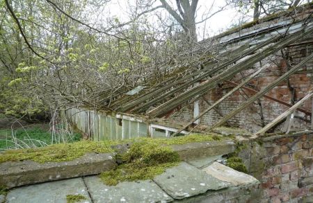 Photo of a decaying greenhouse with roof timbers and glass panels