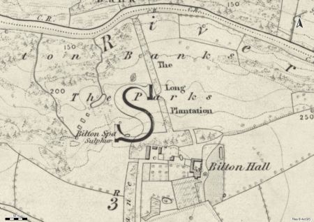 Long Plantation, new pleasure grounds and ponds near Bilton Spa on the 1st edition 6” OS map surveyed 1847 to 1849, published 1854. National Library of Scotland CC-BY