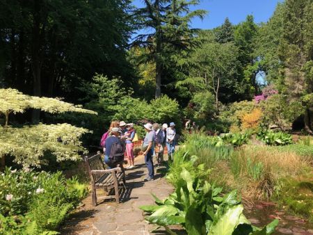 Whinfell Quarry Garden and Whirlow Brook Park