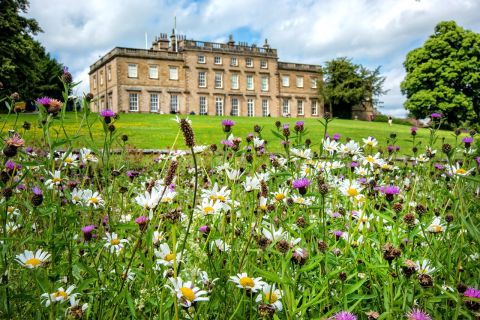 Colour image of Cannon Hall and green lawns with flowers in front