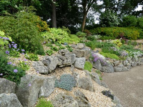 Photo of the rock garden & plants at Burnby Hall rock garden