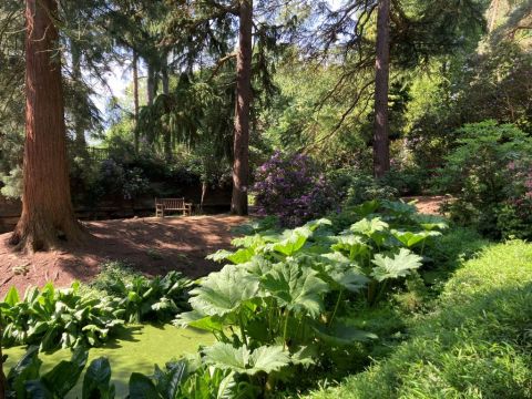 Whinfell Quarry Garden and Whirlow Brook Park