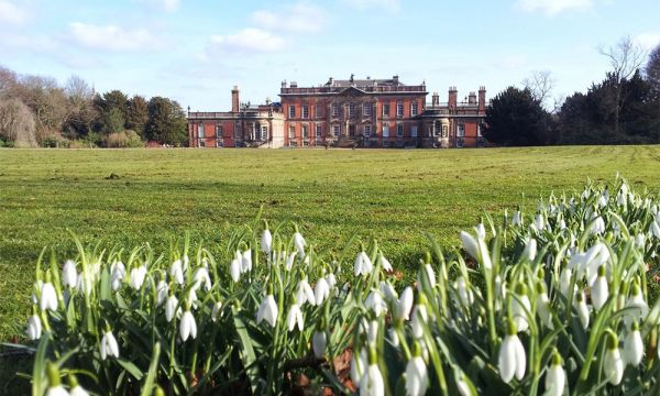 The stately home of Wentworth Woodhouse stands surrounded by trees with snowdrops in the foreground.