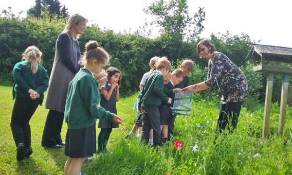 School children in green tops explore a flower meadow with teachers.