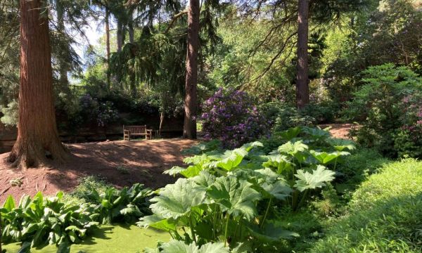 Whinfell Quarry Garden and Whirlow Brook Park