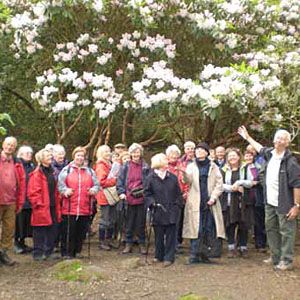 A group of people stand in front of a blossoming tree.