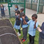 School children help cover a raised bed with netting.