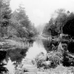 Figure 6. Looking from the rock garden pond towards the house along a lawned alley.