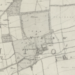 Neswick Hall parkland from OS 1st edition 6" map, surveyed 1851. National Library of Scotland.  CC-BY-NC-SA