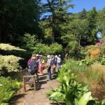 Whinfell Quarry Garden and Whirlow Brook Park