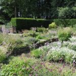 Harrogate Flower Show